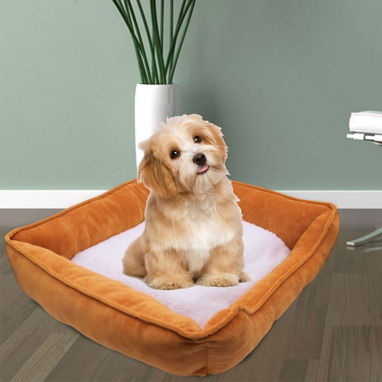 Heated dog beds walmart cheap