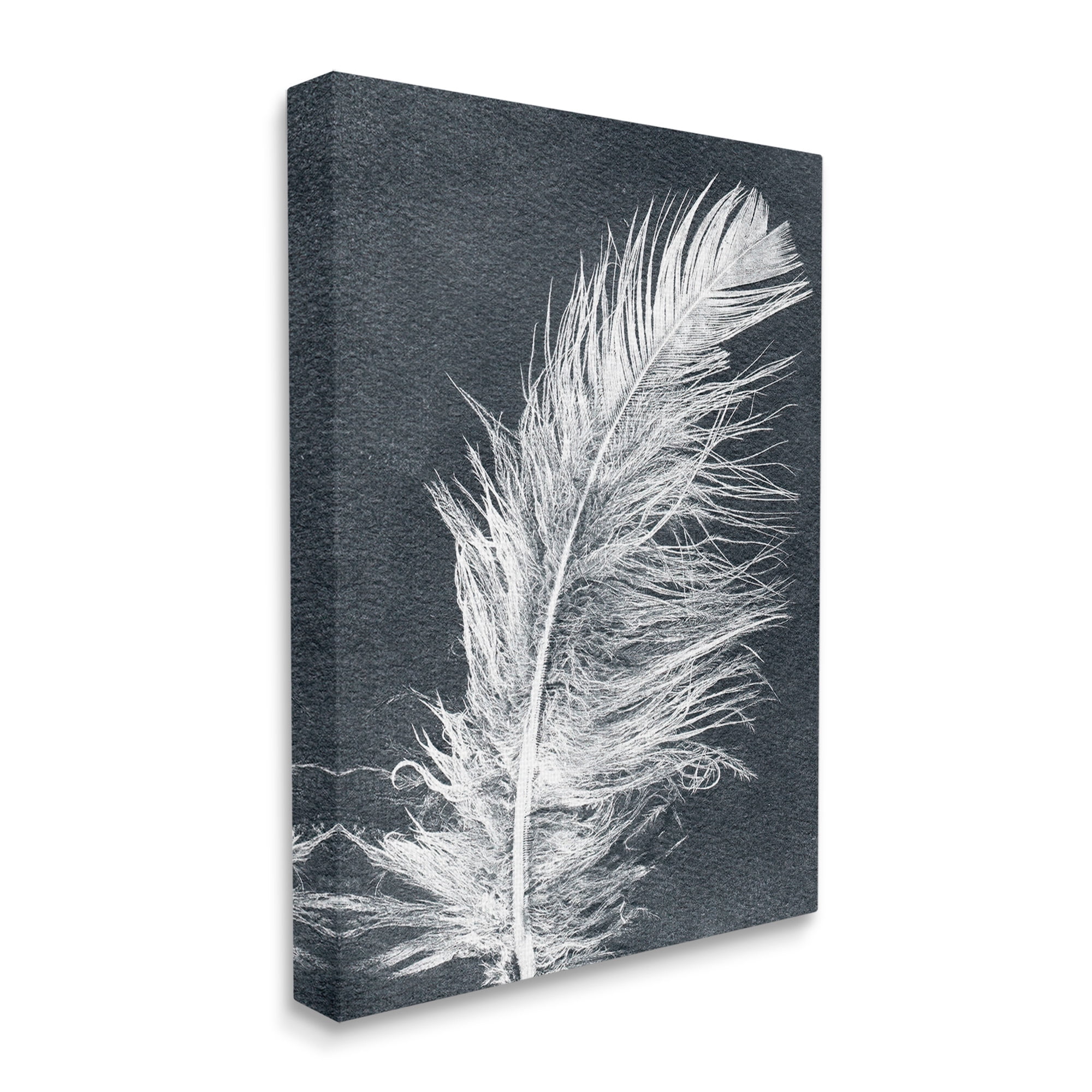 Stupell Industries Blue & White Feather Animals & Insects Painting Gallery Wrapped Canvas Art Print Wall Art, 36 x 48
