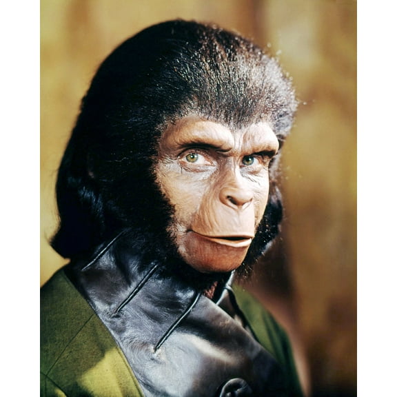 Planet of The Apes Kim Hunter as Dr Zira 24x36 Movie Poster HD Aluminum Wall Art
