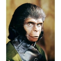 Planet of The Apes Kim Hunter as Dr Zira 24x36 Movie Poster HD Aluminum Wall Art