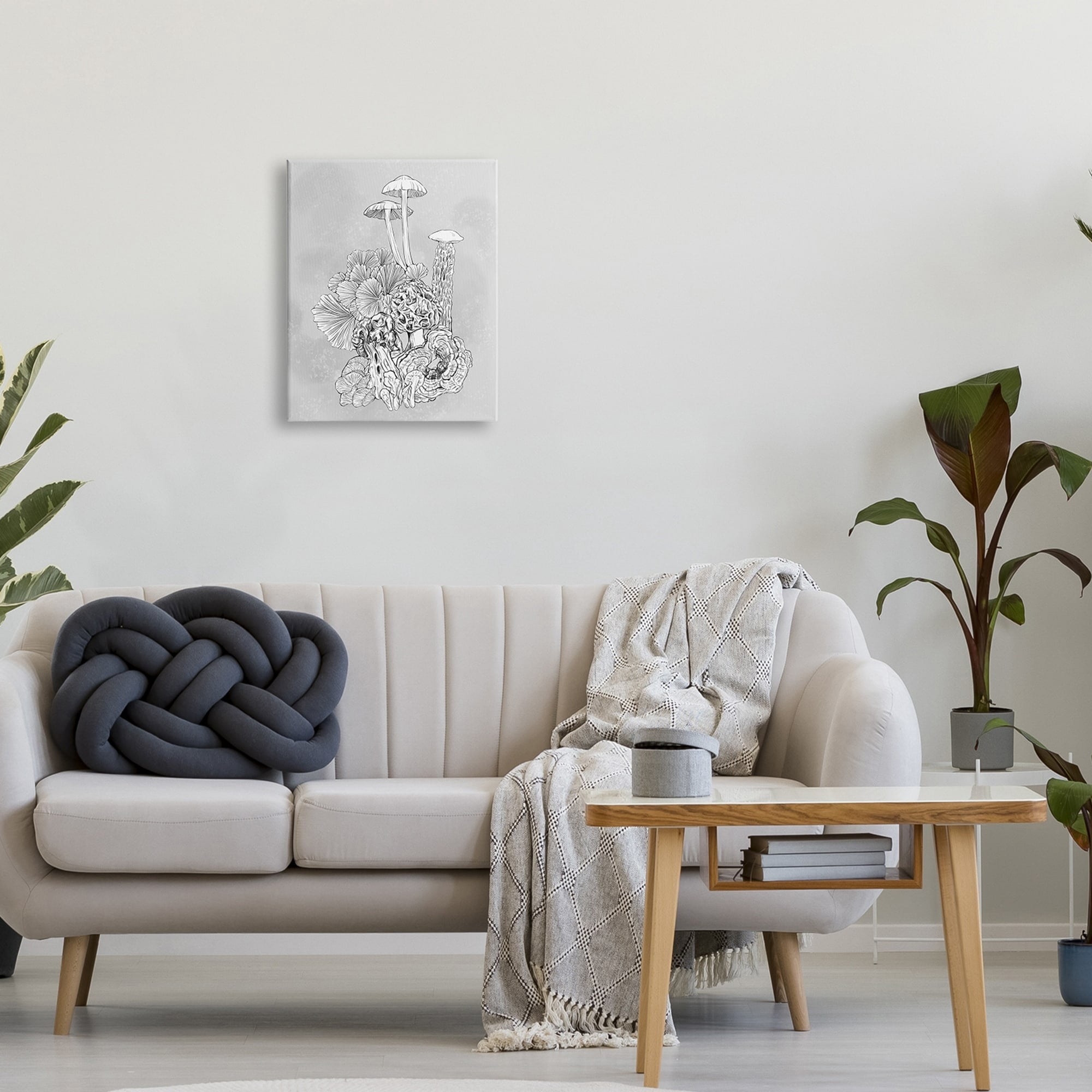 Stupell Industries Detailed Botanical Drawing Mushroom Proliferate Plant Study,24 x 30, Design by Ziwei Li