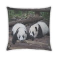 thumbnail image 2 of Ahgly Company Animals Bear Indoor Throw Pillow, 18 inch by 18 inch, 2 of 6