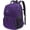 Purple, variant on Travel Backpack, Laptop Backpack School Business Anti TSA Approved College Work Computer Bag Fits 17 Inch Laptop with USB Port Bookbag for Women Men(Black)