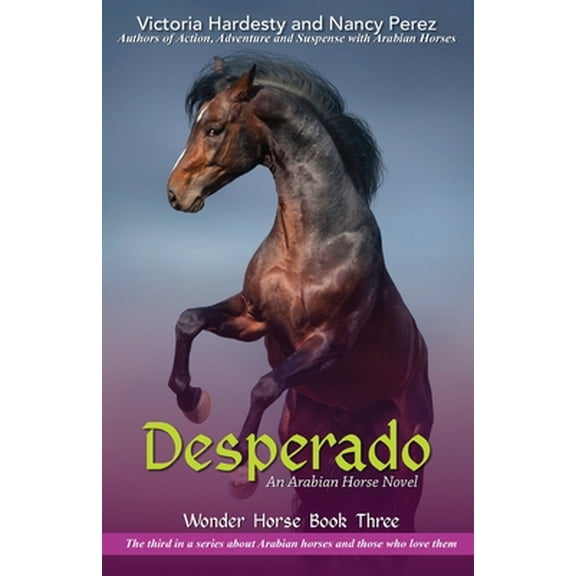 Pre-Owned Desperado (Paperback) 1594338183 9781594338182