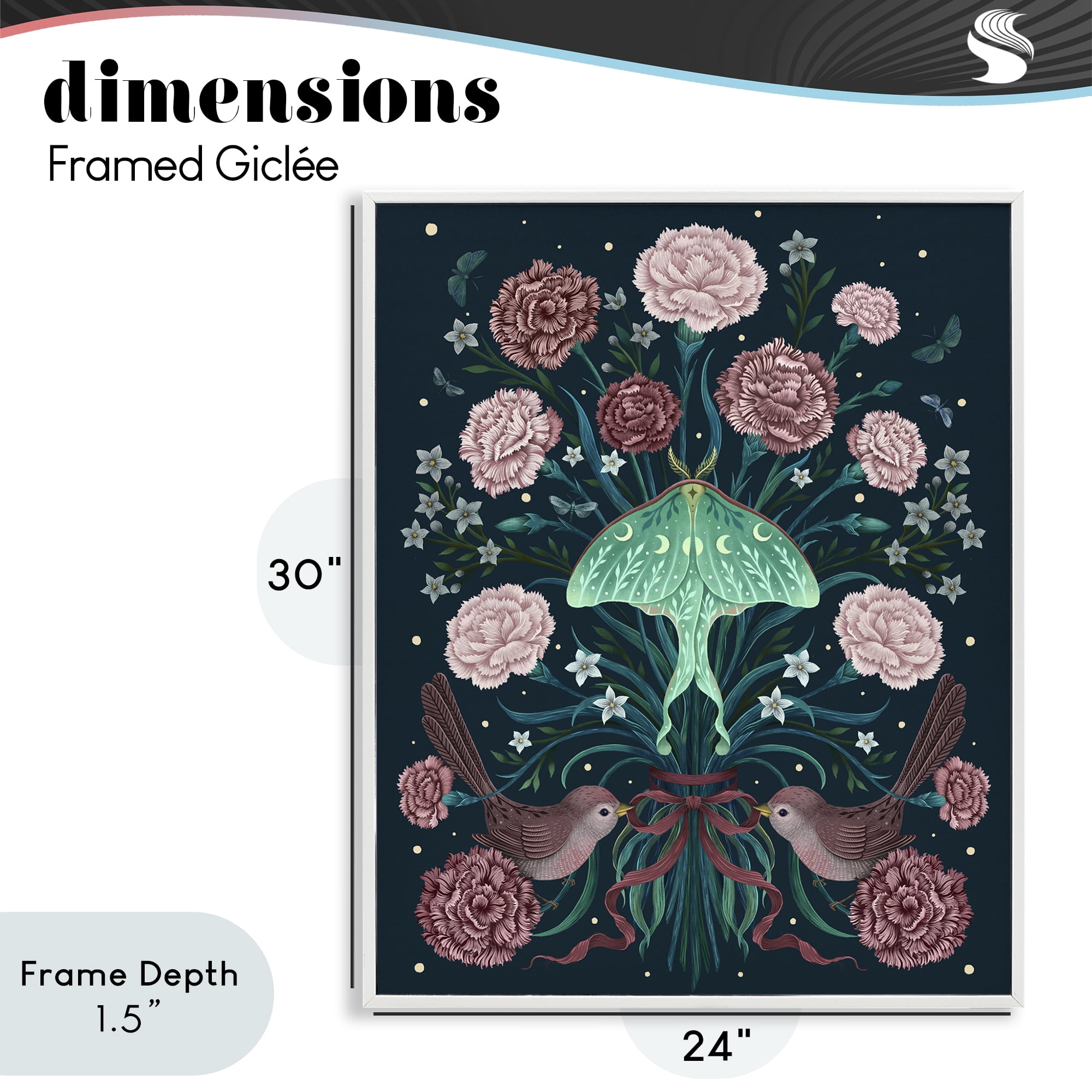 Stupell Industries January Carnations & Moth White Framed Giclee Art, design by Episodic Drawings