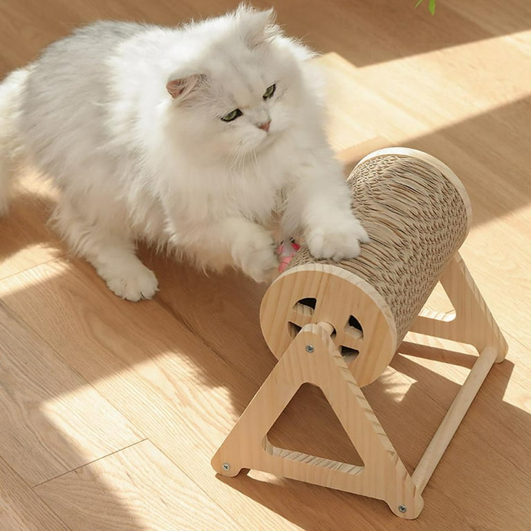 Icwin Cat Toys Cat Play Mat,Kitten Toys Set 16 PCS Algeria