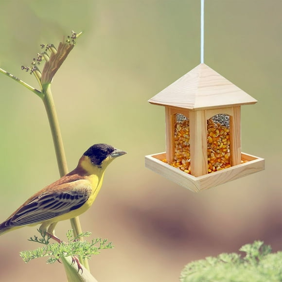 TopLLC Bird Feeder Outdoor Landscaping Feed Forest Bird Feeding Bird Feeder Feeding Suspension Automatic Bird Feeder Rainproof