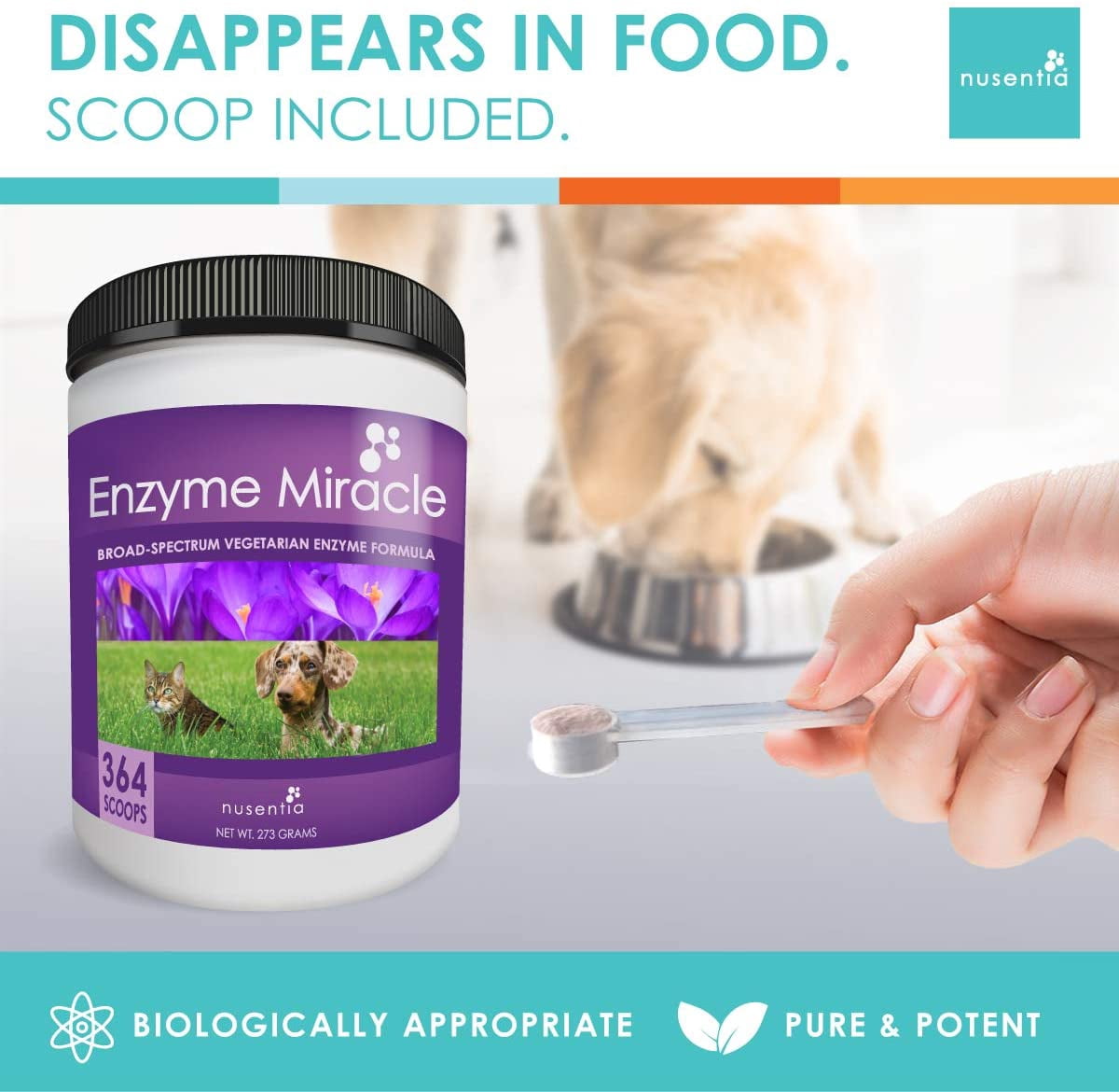 Enzyme Miracle | 364 Servings, Powder | Digestive Enzymes for Dogs and Cats | For indigestion, food intolerance, weight gain, weight loss, stool eating, and improved elimination