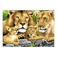 thumbnail image 2 of Royal & Langnickel Painting by numbers™ 13pc Pride of Lions Painting Project, 2 of 2