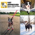 thumbnail image 2 of Hcpet Botas Para Perros Grandes, Zapatos Para Perros Para Pavimento Caliente, Protector De Patas De Nieve Para Invierno, Botines Para Perros Diseñados Para Comodidad Y Transpirabilidad, Botines Para E, 2 of 5