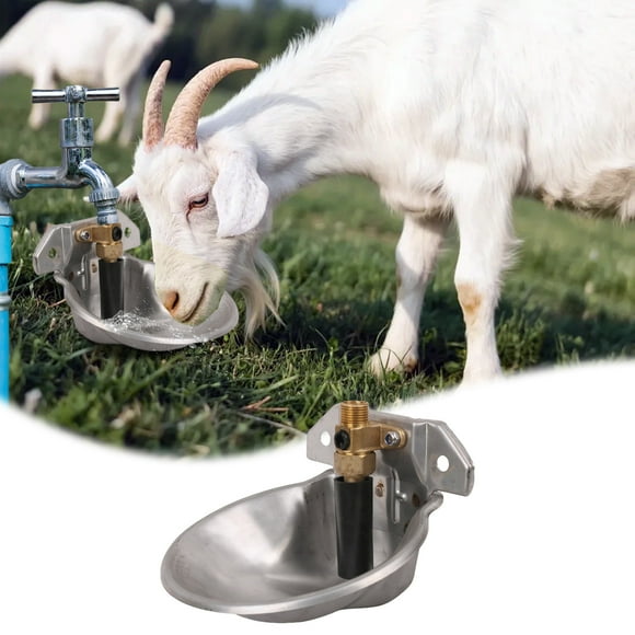 Efficient Automatic Waterer for Livestock Durable Outdoor Water with Safe Rounded Design Ideal for Farm Herd Management