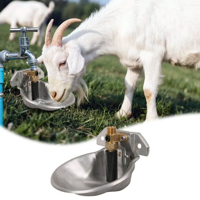 Solution d'Arrosage Automatique pour Bétail à la Ferme Durable avec Design Arrondi Sûr pour Utilisation en Extérieur