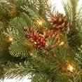 thumbnail image 3 of 30in. Decorative Collection Noble Mixed Wreath with Battery Operated Warm White LED Lights, 3 of 3