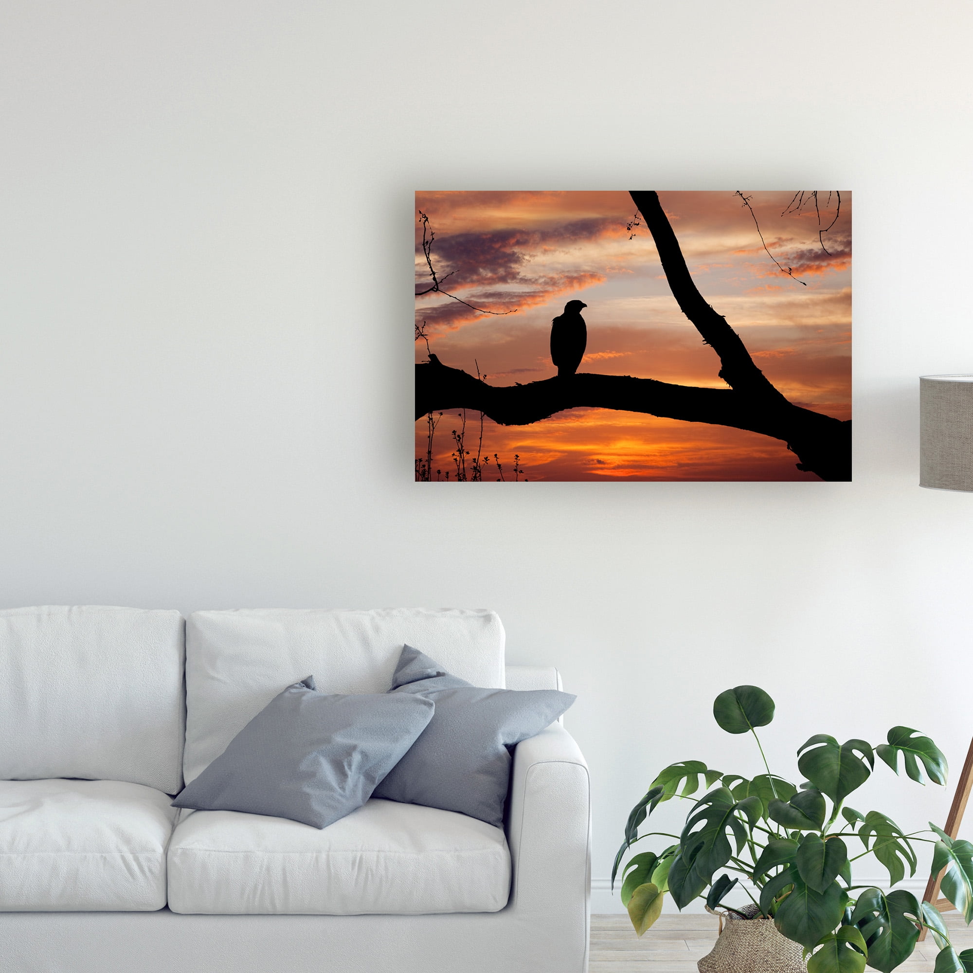 Trademark Fine Art 'Eagle Sunset' Canvas Art by Monte Nagler