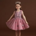thumbnail image 4 of Fozruso Kids Girls Summer Fashion Butterfly Printed Tulle Skirt Princess Dress Puffy Dress Children's Clothing Girls Lace Dress,Sizes 5-6 Years, 4 of 4