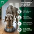 thumbnail image 4 of Iconic Pet Color Splash Stripe Non-Skid Pet Bowl, 96 Oz, Black, 4 of 9