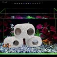 thumbnail image 4 of Los acuarios decoran cuevas rocosas que esconden escondites donde se guardan los cíclidos camarones, 4 of 5