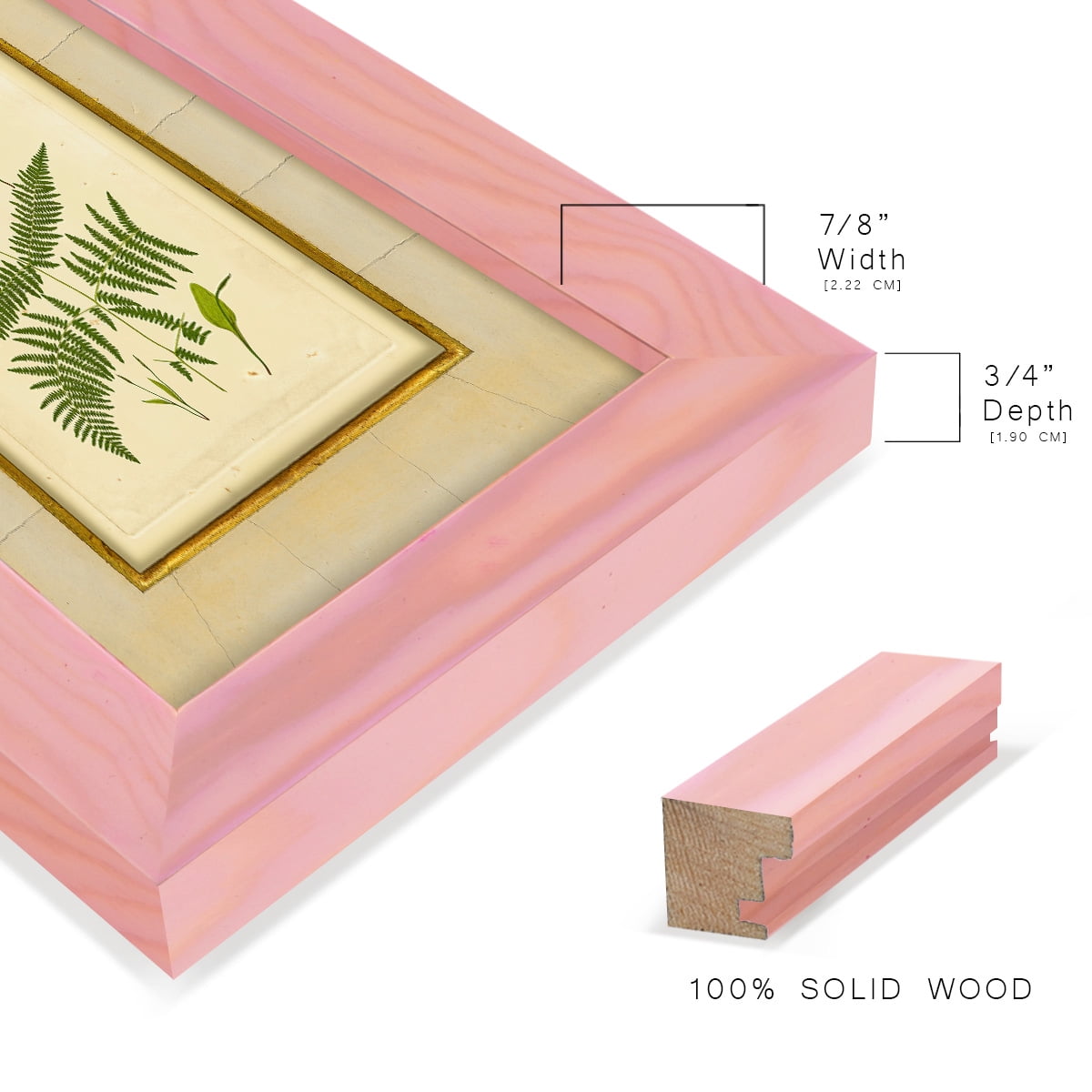 Fern with Crackle Mat (H) IV - Framed Print w/glass - Sunset Pink