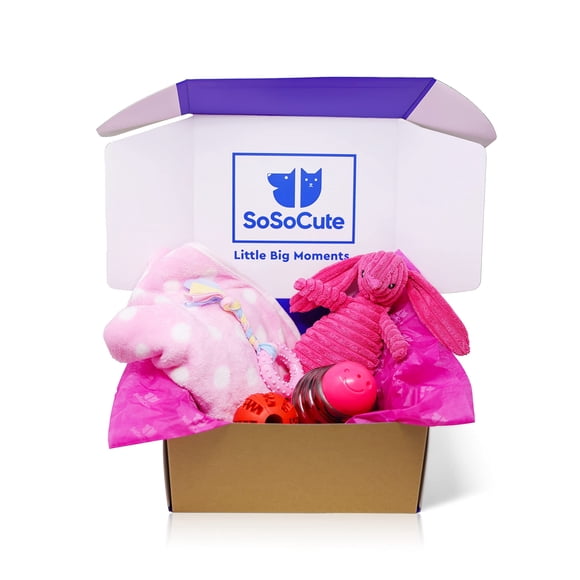 SoSoCute Coffret Cadeau pour Chien Rose - Jouet à Mâcher pour Chiot Lot de 5 - Ensemble de Soins avec Couverture pour Chien, Peluche Qui Couine, Anneau de Dentition en Caoutchouc pour Chiot, Balle de Dentition et Balle de Friandise pour Petits et Moyens Chiens