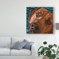thumbnail image 3 of Trademark Fine Art 'Dlynns Dogs Bunsen' Canvas Art by Dlynn Roll, 3 of 4