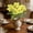 5Pcs Silk Pansy Flowers Under $5 a5, variant on 5Pcs Artificial Pansy Flowers! Kadlawus Artificial Pansy Flowers for Home Decor, Plastic Silk Fake Flowers, Hotel Wedding Decoration Ornaments, Creative Floral Arrangements for Table Centerpieces and