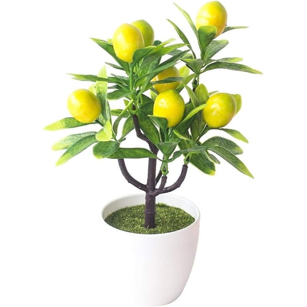 Zhuge Árbol frutal artificial en maceta para decoración de escritorio, planta falsa decorativa para oficina, decoración del hogar, accesorios de fotografía, tomate cherry amarillo