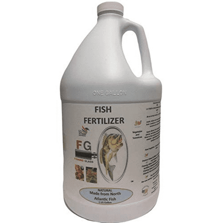 Fishing Glass Liquid (Fish Fertilizer) and Sea Kelp Blend, Organic Natural Plant Fertilizer with Soil Nutrients and Enzyme Concentrate 1 Gallon