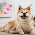 thumbnail image 3 of KMWGRE Pet Perfume Floral Scented Spray for Dogs and Cats High Appearance Grooming Care 50ml Pink 10cm, 3 of 5