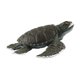 thumbnail image 2 of Adorno de juguete de animales marinos, modelos de acción de criaturas marinas para niños y niñas (tortugas marinas) Ndcxsfigh libre de BPA, 2 of 9