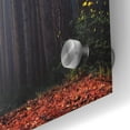 thumbnail image 2 of Epic Art 'To Another World' by Martin Podt, Acrylic Glass Wall Art, 24"x36", 2 of 3