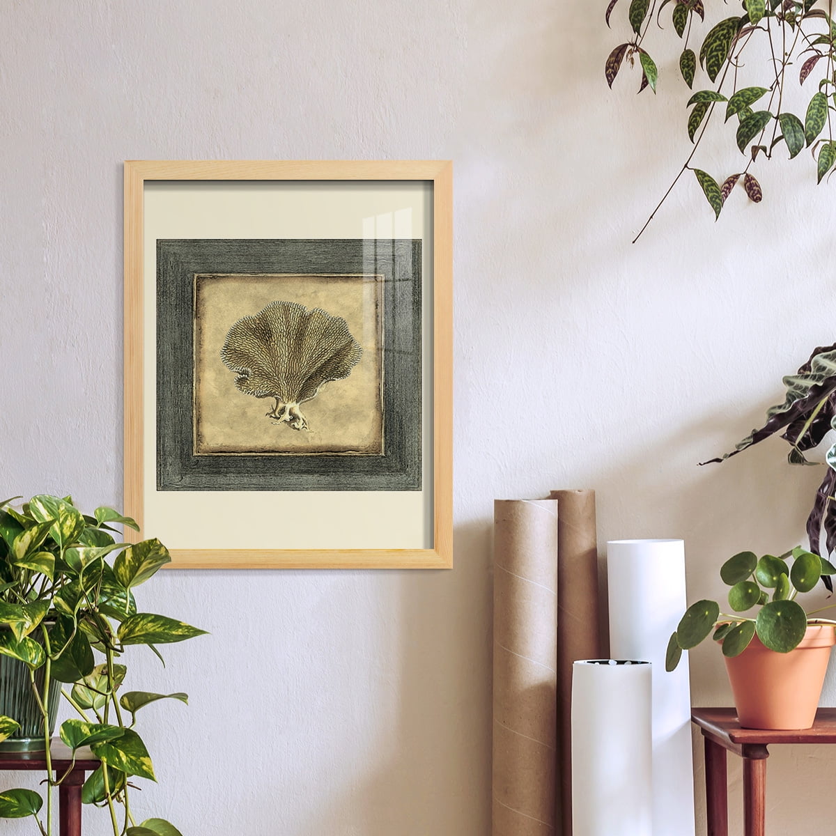 Mini Exotic Coral VI (U) - Framed Print w/glass - Natural Wood