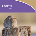 thumbnail image 3 of Bonide Mouse Magic Mouse Repellent - Pack of 2 — Residential Use, Standard Application, 3 of 5
