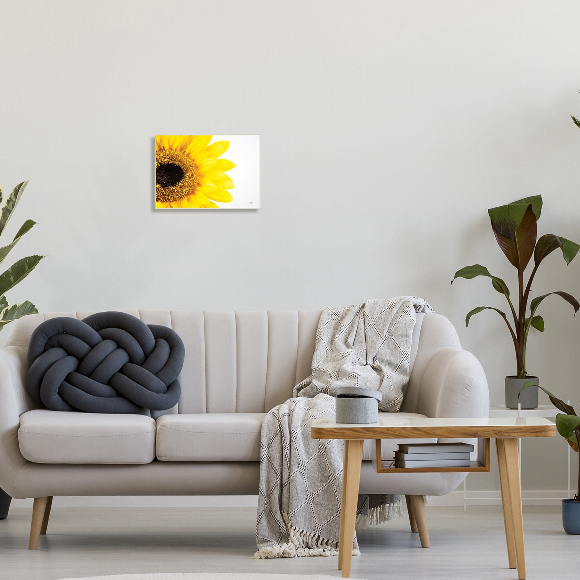 Stupell Industries Detail of Sunflower Disk And Petals Photograph,19 x 13, Design by Donnie Quillen