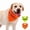 B, variant on High Visibility Reflective Dog Triangle Scarf - Adjustable Pet Bandana for Nighttime Safety and Style