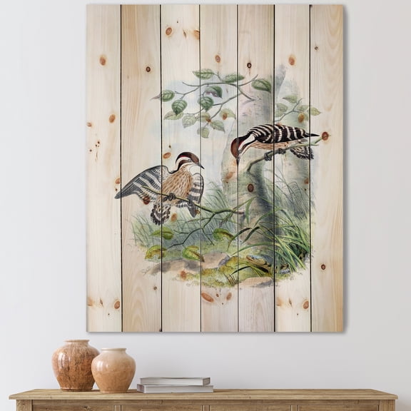 Designart 'Ancient Birds In The Wild I' Traditional Print on Natural Pine Wood