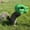 Green A3, variant on Dinosaur Head Squirrel Feeder - Funny Hanging T-Rex Squirrel Feeders for Outside, Backyard Patio Garden Outdoor Yard Decor Box, Novelty Nut Critter Gag Gifts for Animal Lovers