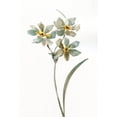 thumbnail image 3 of Nan 13x18 Black Modern Framed Museum Art Print Titled - Neutral Botanical I, 3 of 5
