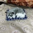thumbnail image 7 of Sleeping Dogs on Pad Doll Toy,Cute Mini Puppy on Pad Plush Toy with Woof Sounds, Hand Sized Stuffed Dog Decor for Boys Girls - Realistic Sleeping Puppy on Mat for Furni Decorations, 7 of 7