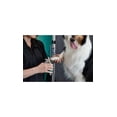 thumbnail image 4 of Groomer Essentials Small Nail Clippers, 4 of 4