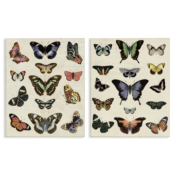 Stupell Industries Antique Butterfly Collection Insects Painting Wrapped Canvas Art Print Wall Art, 16 x 20, Set of 2