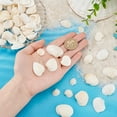 thumbnail image 3 of 78pcs 7 Styles Shell Pendants 12~37mm Scallop Seashell Undyed Beach Seashells Charms Natural Summer Sea Shell Pendants for Bracelets Earrings Jewelry s Making No Hole/Undrilled, 3 of 6