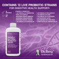 thumbnail image 5 of Dr. Berg Probiotic Liquid - Probiotic Drink Mix w/ 12 Live Probiotic Strains - Men Women & Kids - 500 ml, 5 of 8