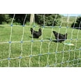 thumbnail image 4 of 48” x 100’ Premium Plus+ Braided Electric Poultry Netting (12/48/3) Electric Chicken Fencing for Backyards, Homesteads, Farms, and Ranches$$Garden & Patio, 4 of 8