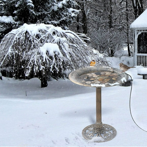 Bird Bath Heater For Outdoors In Winter Birdbaths Deicer With Thermostatically Controlled For Patio Yard Lawn