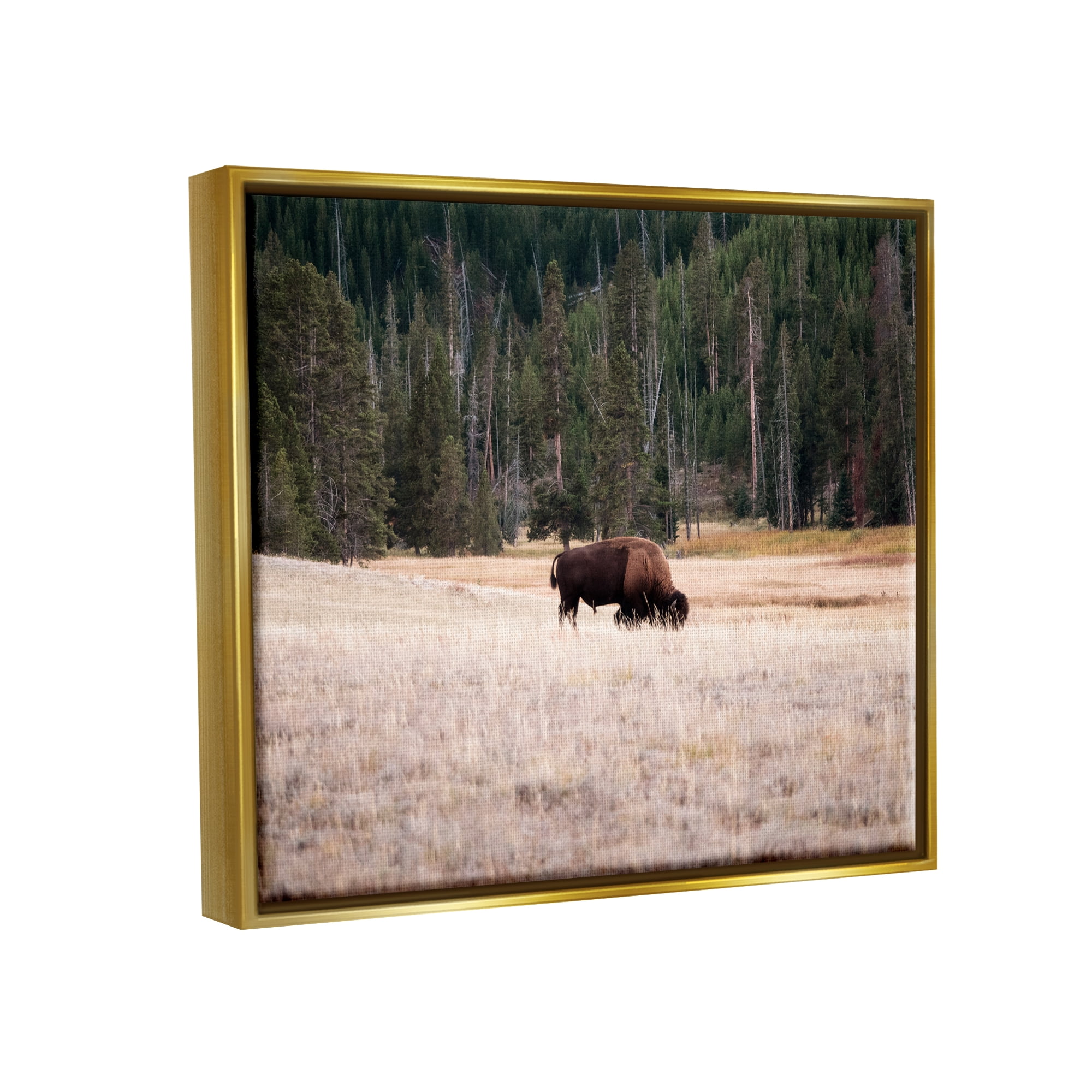 Stupell Bison Grazing Rural Country Landscape Animals & Insects Photography Gold Floater Framed Art Print Wall Art