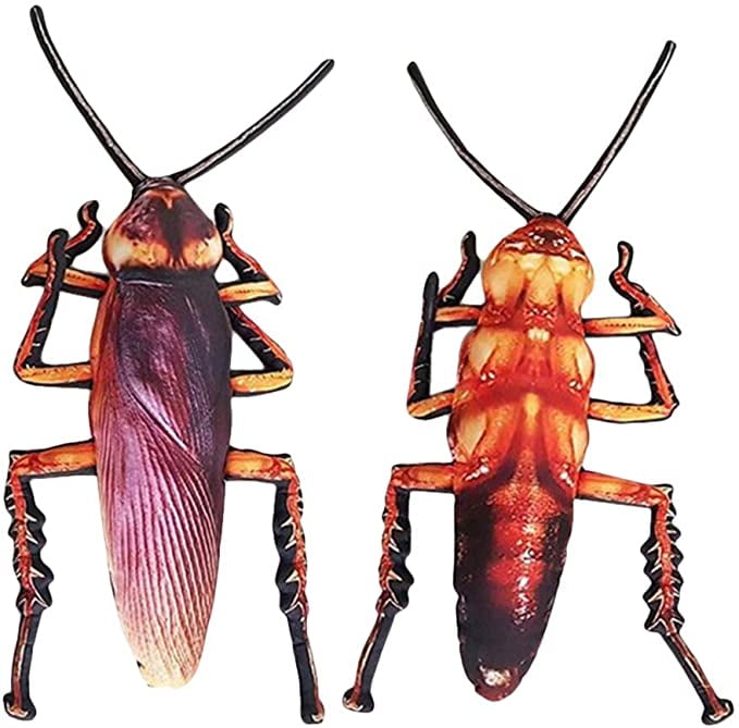 roach stuffed animal
