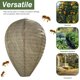 thumbnail image 1 of Señuelo De Nido De Avispas Wasp Nest Decoy Hanging Deterrent Safe Garden Trampa repelente (cian claro), 1 of 4