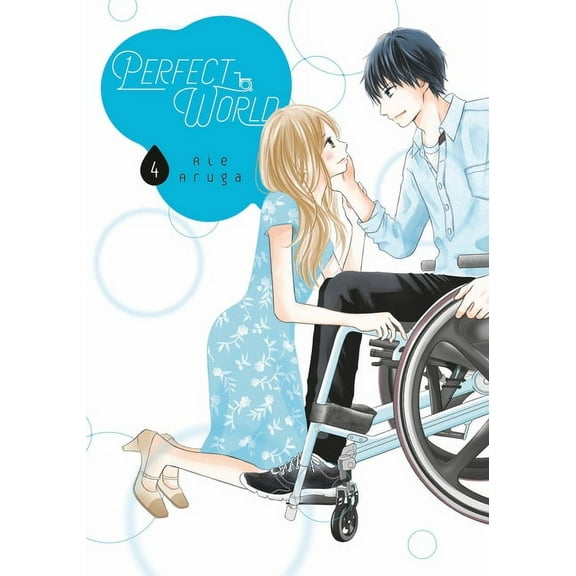 Perfect World: Perfect World 4 (Series #4) (Paperback)