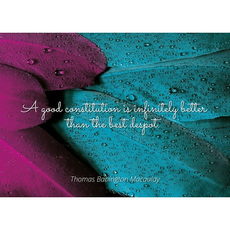 Thomas Babington Macaulay - Famous Quotes POSTER PRINT 24x20 - A good constitution is infinitely better than the best