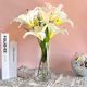 thumbnail image 5 of Luz de lujo Internet celebridad vidrio transparente pequeño florero decoración sala de estar arreglo floral ins estilo de alto grado simple Tulip Cultivo de agua, 5 of 8
